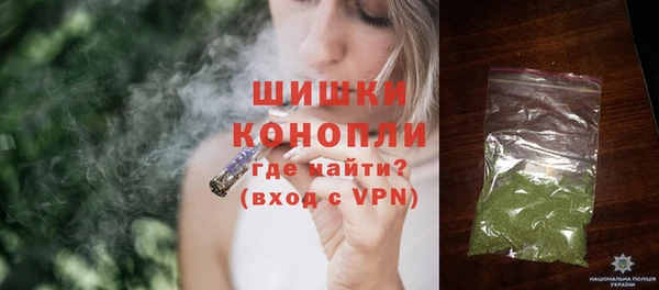 дмт Пересвет