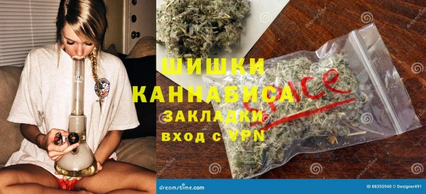 дмт Пересвет
