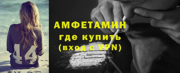 дмт Пересвет