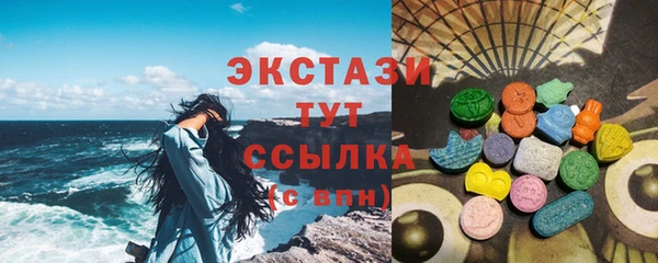 дмт Пересвет