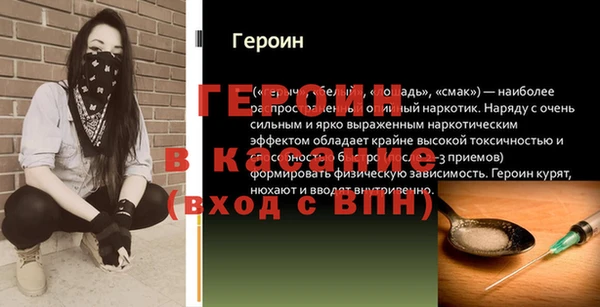 дмт Пересвет