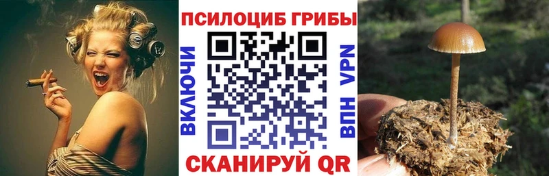 Псилоцибиновые грибы мухоморы  Вольск 