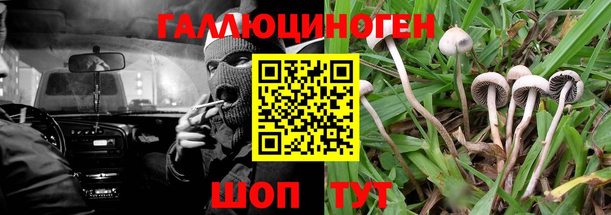 Псилоцибиновые грибы Magic Shrooms Вольск