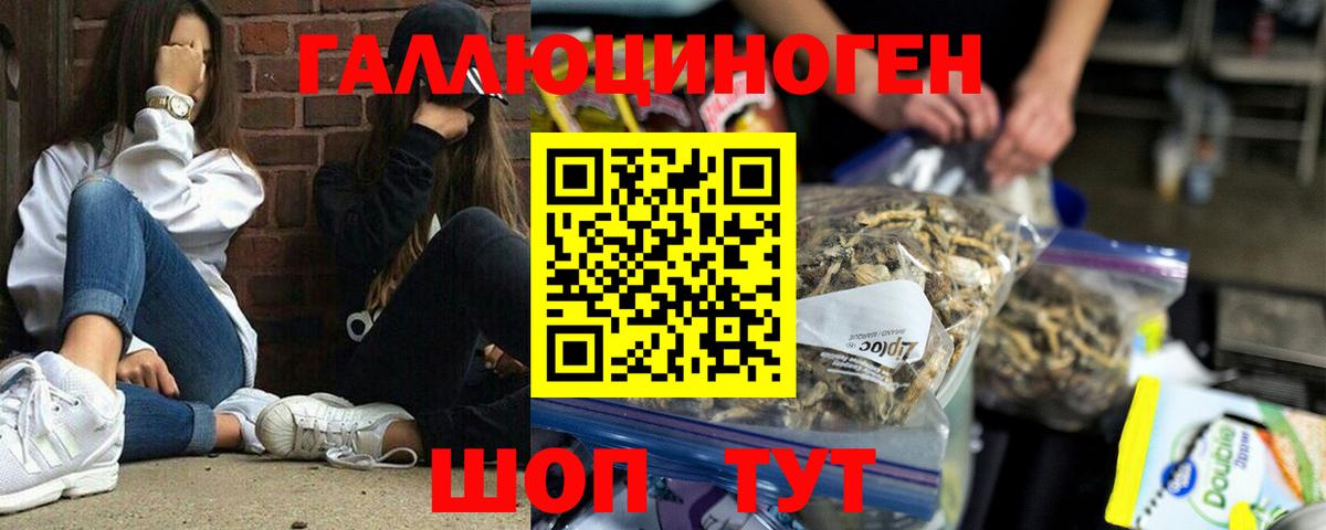 Вольск  Галлюциногенные грибы мухоморы  где купить наркоту  Вход с VPN  Псилоцибиновые грибы мицелий 